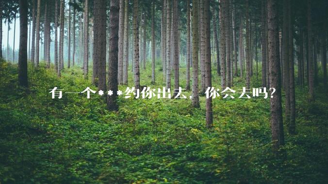 有一个***约你出去，你会去吗？