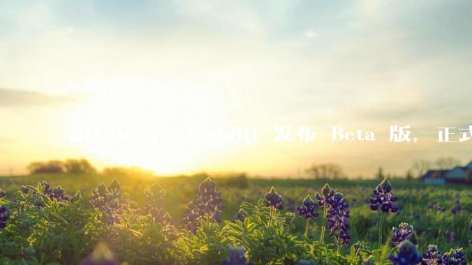 编程语言 MoonBit 发布 Beta 版，正式进入企业场景应用，会带来哪些影响？